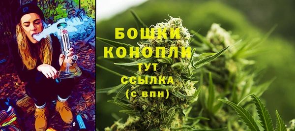 крисы Абдулино