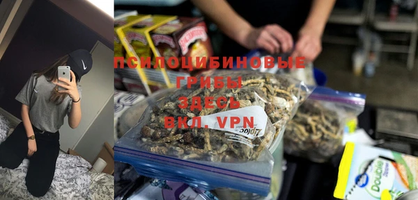 сатива Приозерск